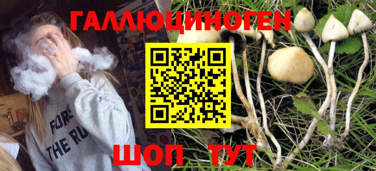 Псилоцибиновые грибы Magic Shrooms Лесосибирск