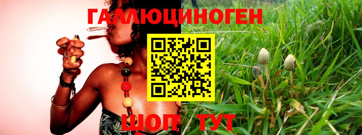 Псилоцибиновые грибы MAGIC MUSHROOMS  Вход с VPN  наркошоп  Лесосибирск 