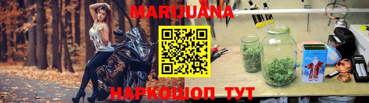 Конопля гибрид Лесосибирск